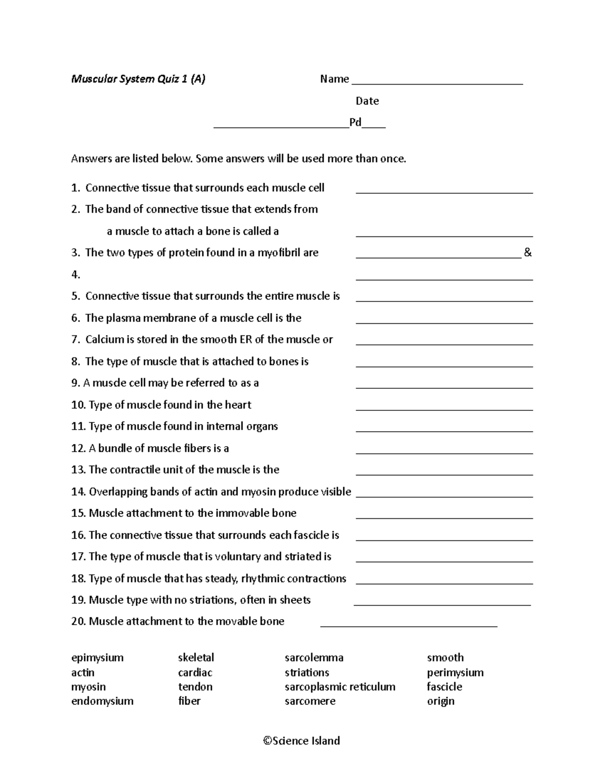 3 Muscular System Quiz 1 - Some answers will be used more than once ...