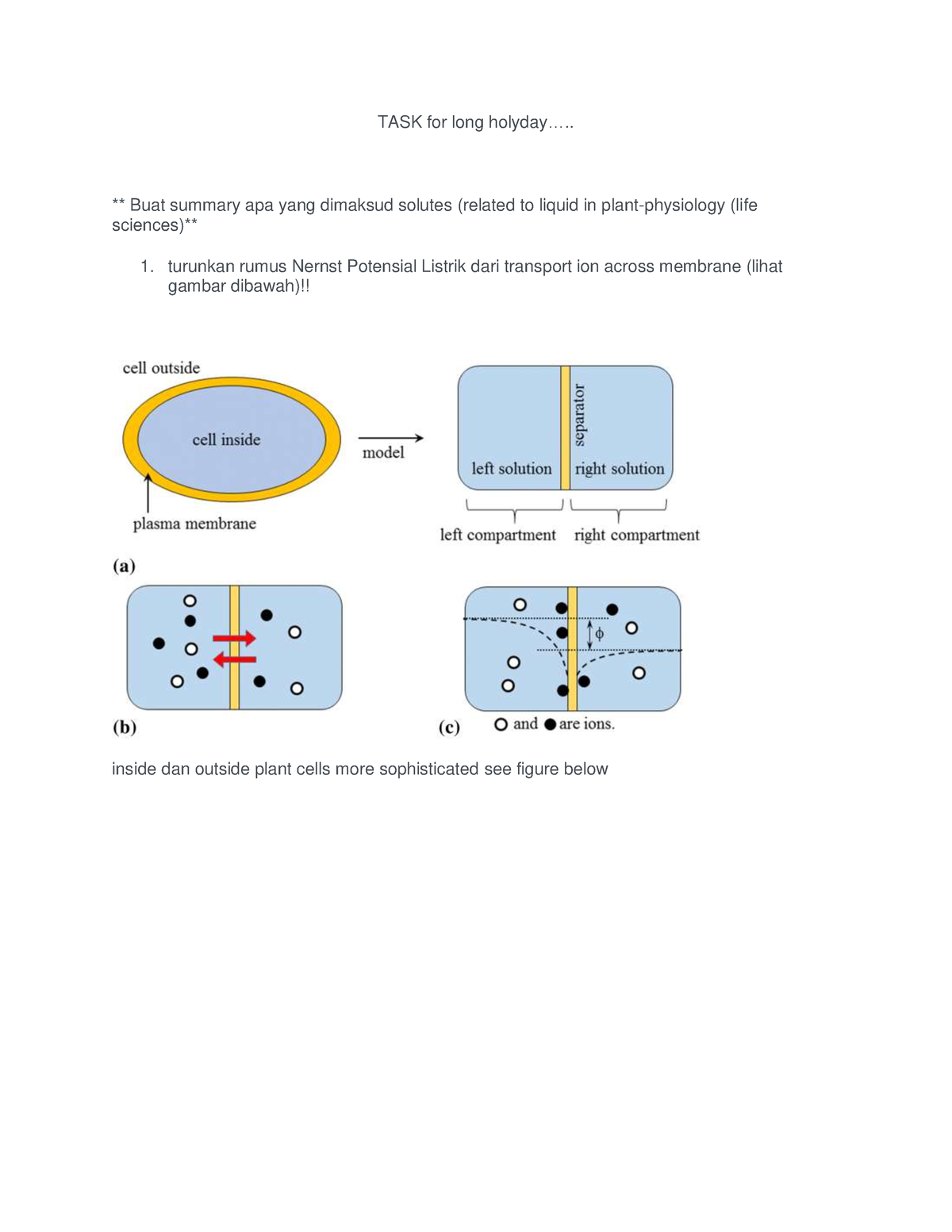 nernst-goldman-hkk-info-task-for-long-holyday-buat-summary