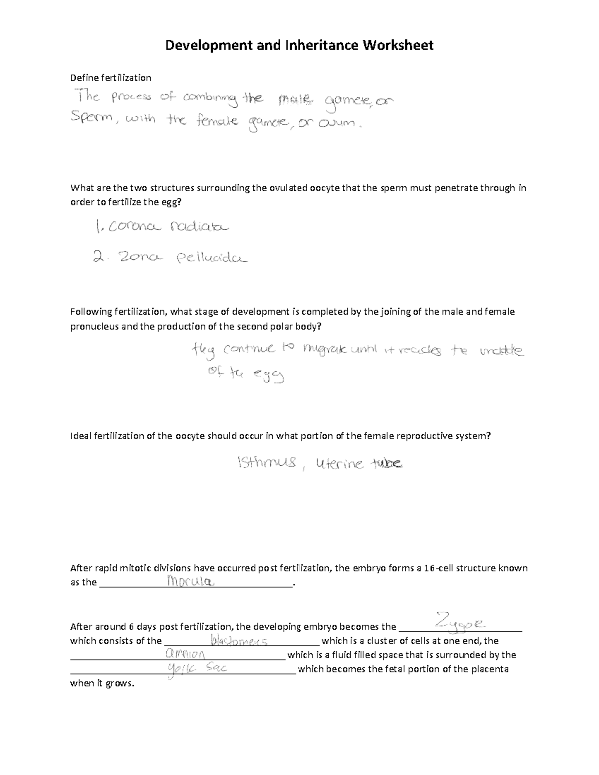 BIOS256+Week+7+-+Development+and+Inheritance+Worksheet copy - Define ...