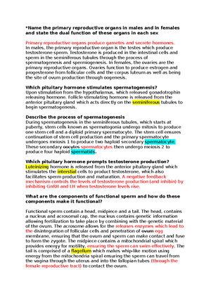 Histology Exam Part 2 - Skeletal MUSC18:ultassicles. * space between ...