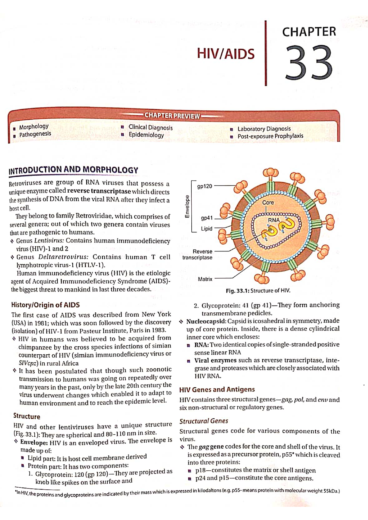 hiv virus assignment pdf