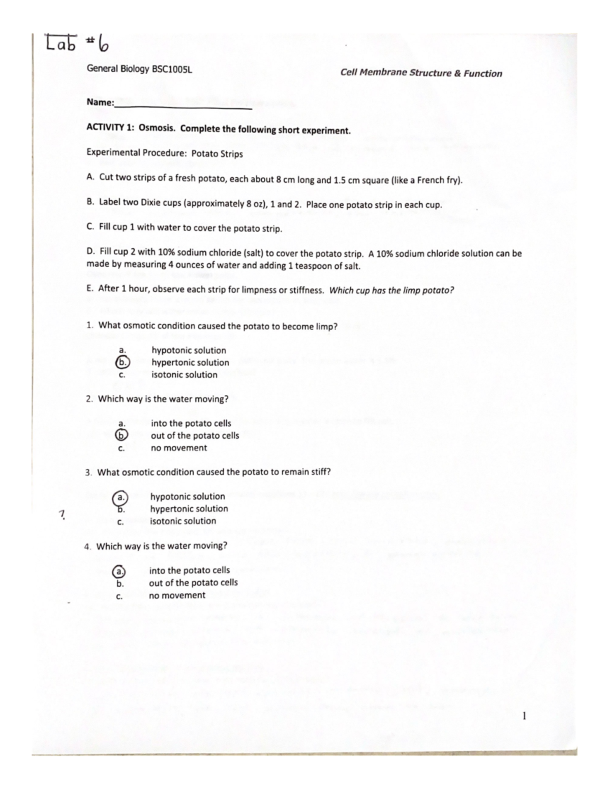 Lab #6 Cell Membrane Structure & Function - BSC 1005L - Studocu