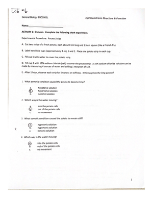 Lab #5 DNA & DNA Fingerprinting - BSC 1005L - Studocu