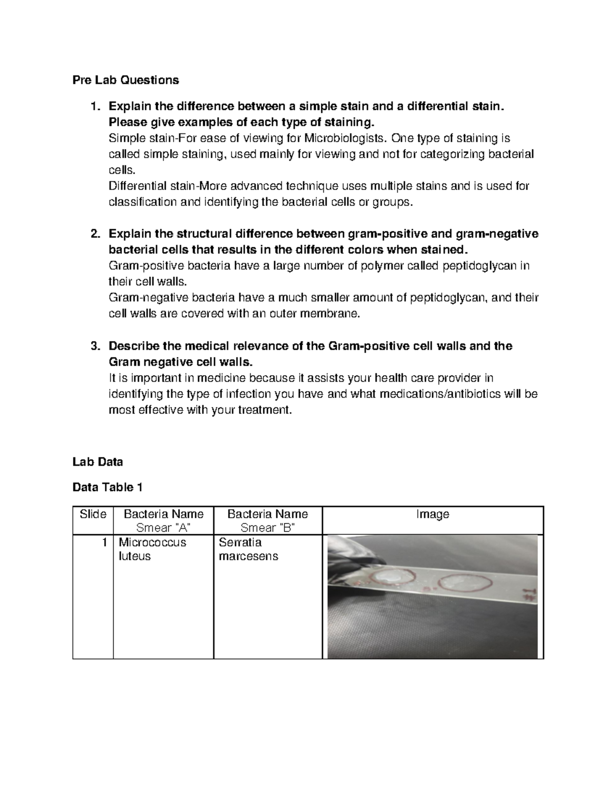 580774 Simple Differential Staining Q 1 Pre Lab Questions 1 Explain   Thumb 1200 1553 