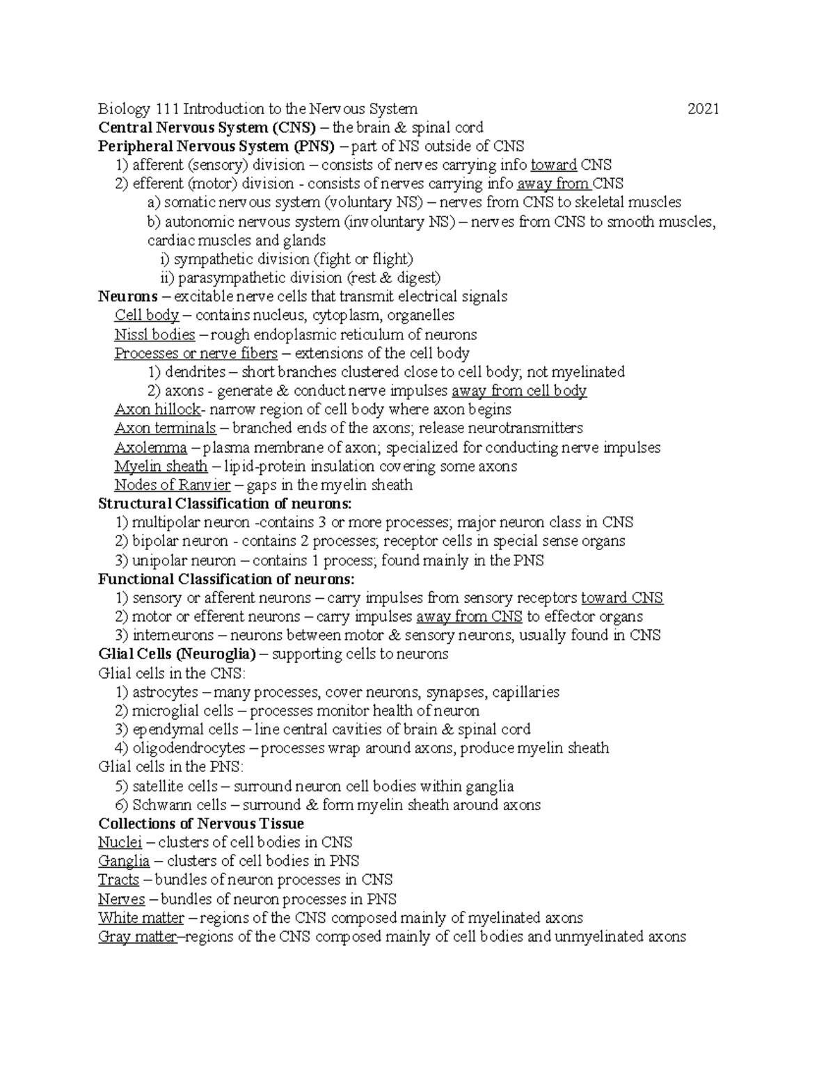 Ch 11 nervous system vocabulary 2021 - Biology 111 Introduction to the ...