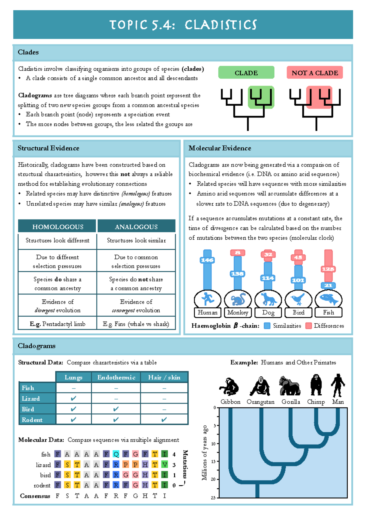 5.4 Cladistics - notes - fish F A A A A F Q F G F T I 4 lizard F S T A ...