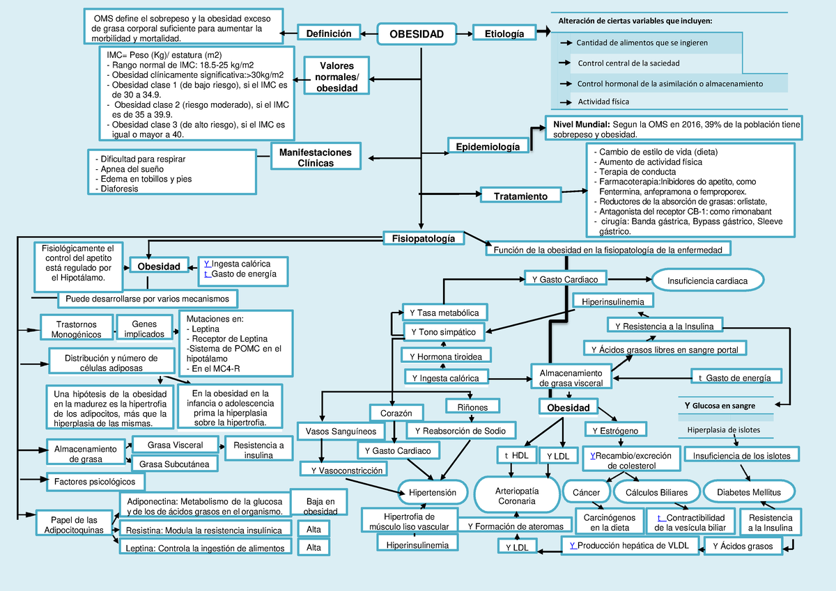 Mapa Conceptual De La Obesidad 4 Genes Implicados Definición Obesidad Oms Define El Sobrepeso