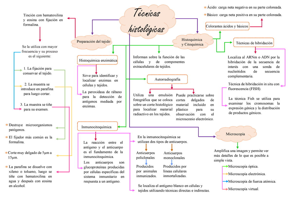 MAPA Conceptual - Técnicas Histológicas - Warning: TT: undefined function:  32 Warning: TT: undefined - Studocu