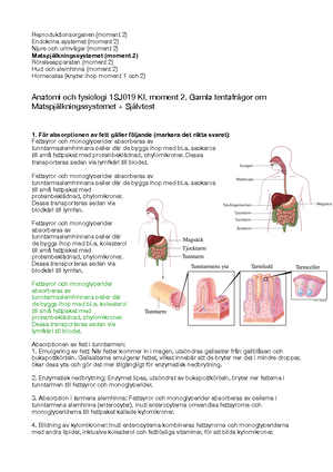 Anatomisk terminologi - Skelettet a. Studera några utvalda skelettben ...