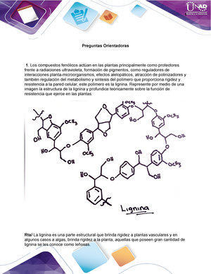 estructura de la lignina en la planta