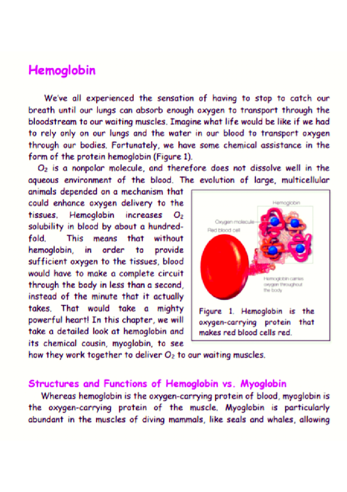 Hemoglobin Human anatomy and physiology BSc NURSING Studocu