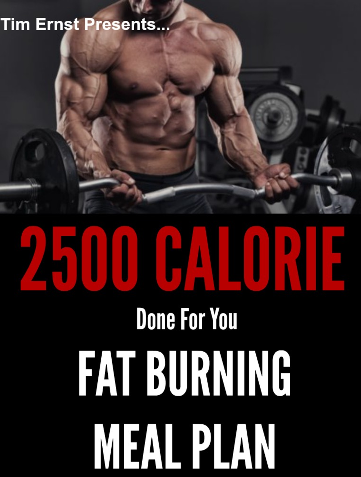 2500 Fat Burning Meal Plan 1 Burn 2 3 Pounds Of Belly Fat A Week By Tim Ernst 