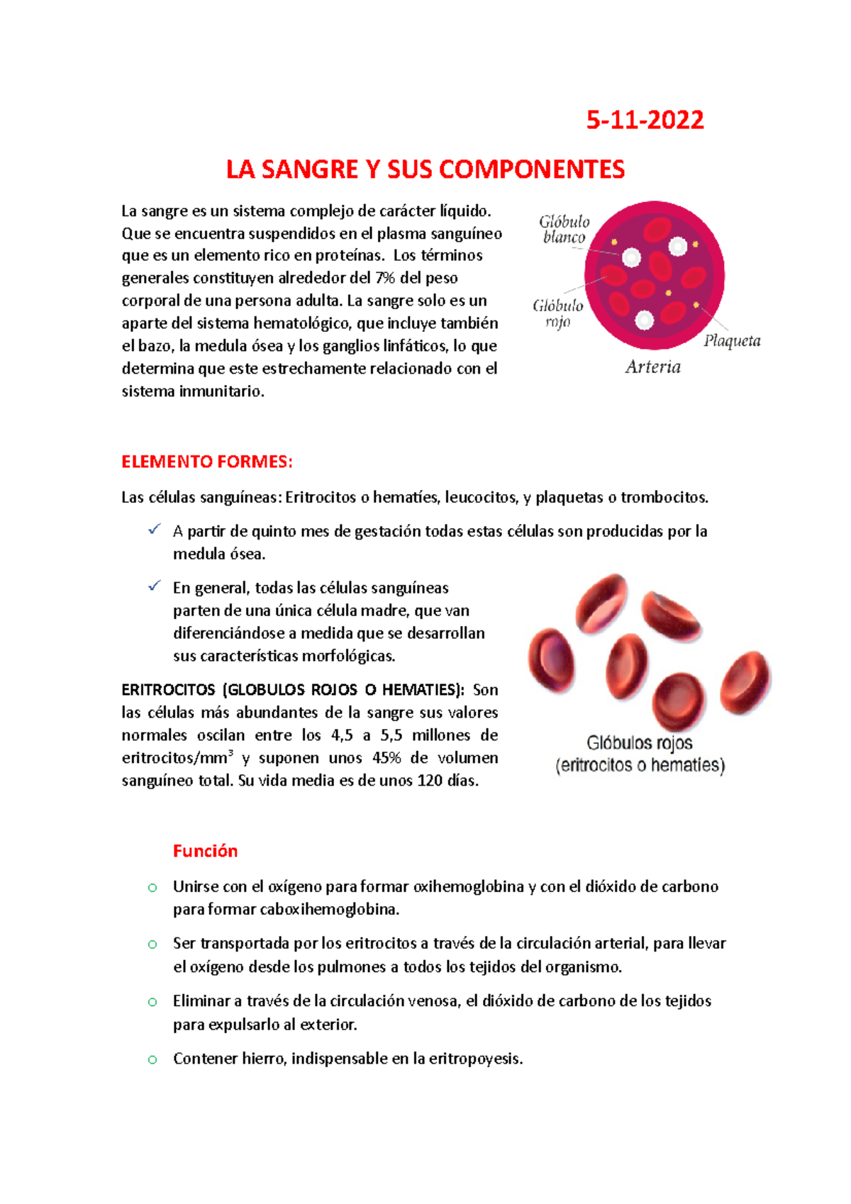 La Sangre Y Sus Componentes La Sangre Y Sus