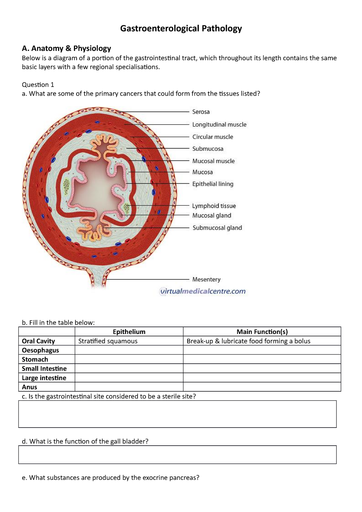 2021-csb020-gastroenterological-pathology-gastroenterological-pathology-a-anatomy-studocu