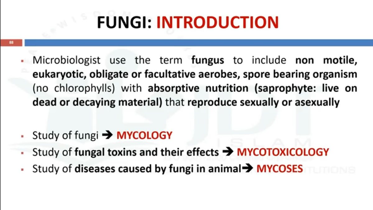 Morphology And Classification Of Fungi - Pharmacy - Studocu