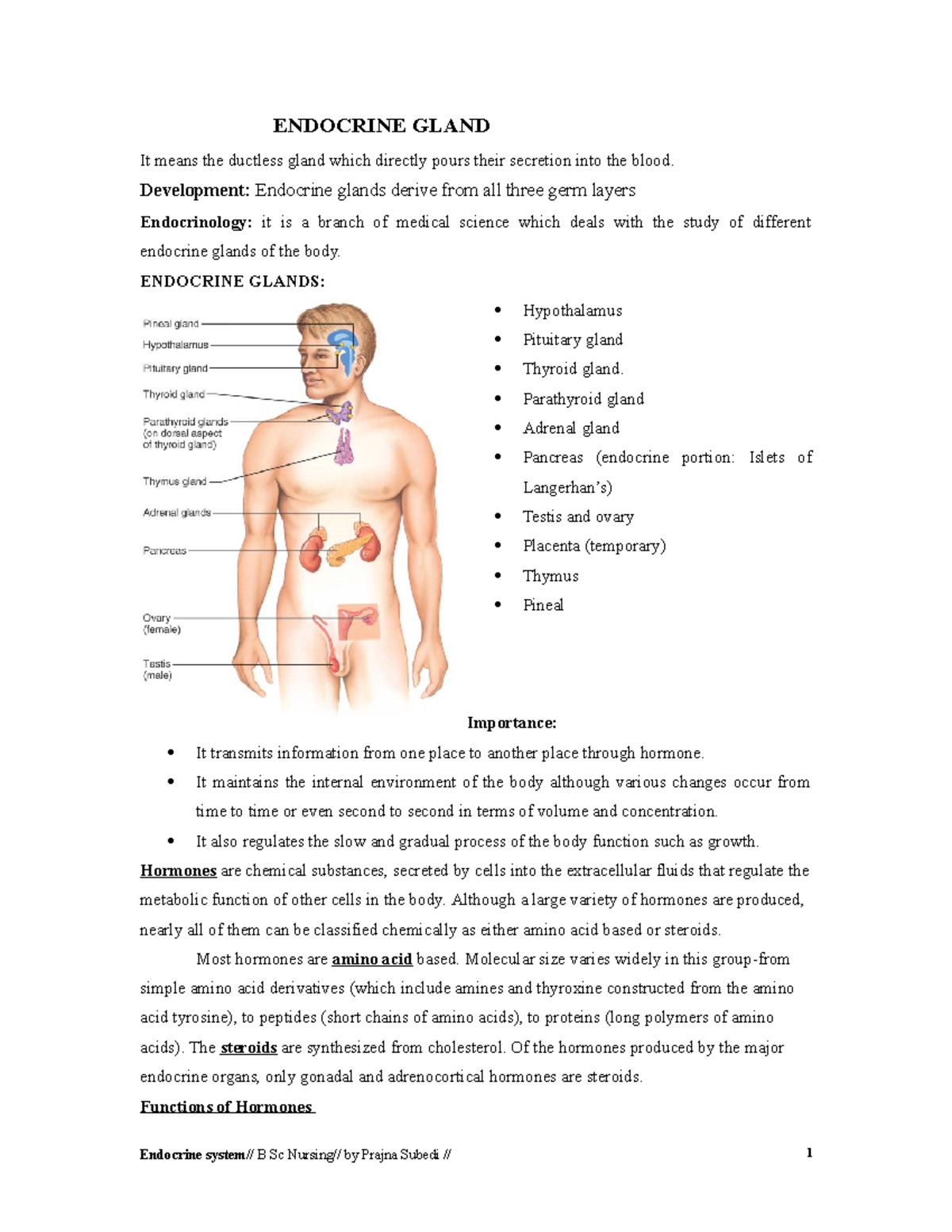 Endocrine System 1 Copy ENDOCRINE GLAND It means the ductless gland