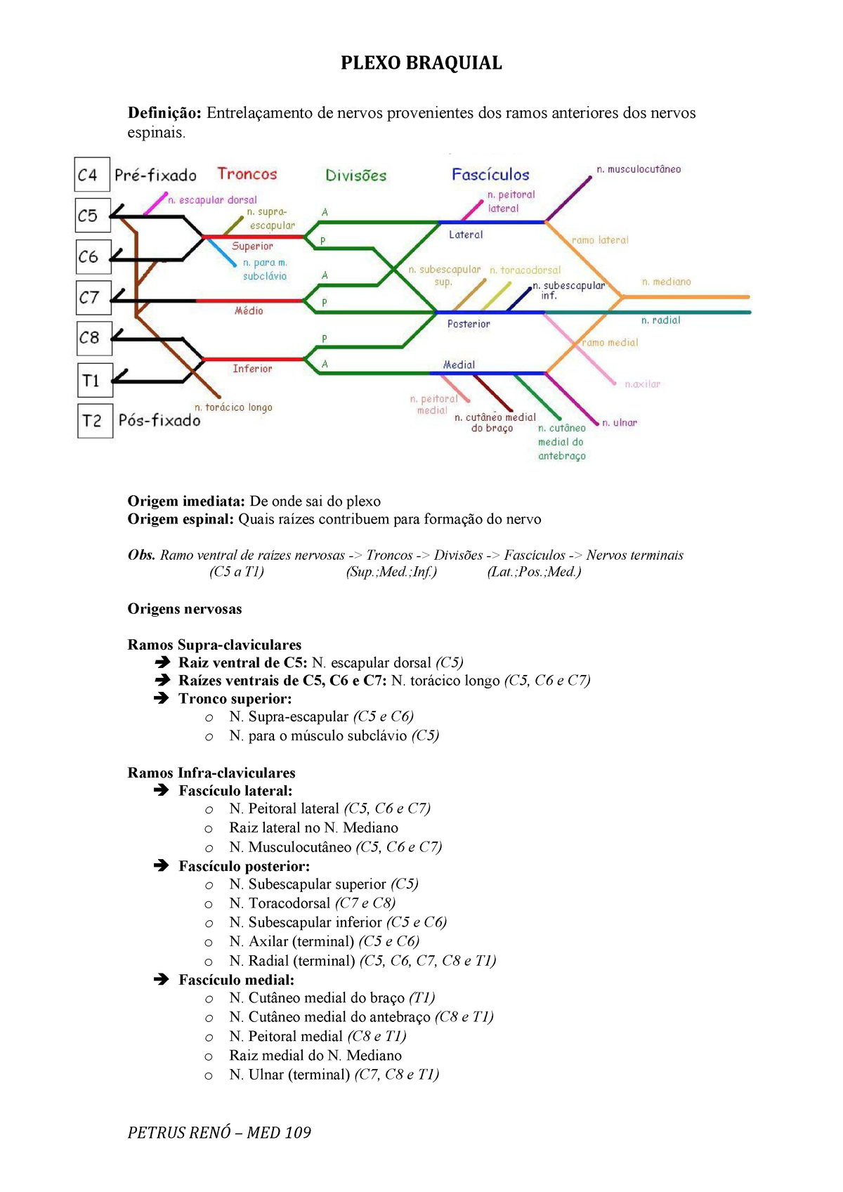 Resumo Anatomia I Membros Superiores Ufjf Primeira Prova Plexo Braquial De Nervos Provenientes Dos Ramos Anteriores Dos Nervos Espinais Origem Imediata De Studocu