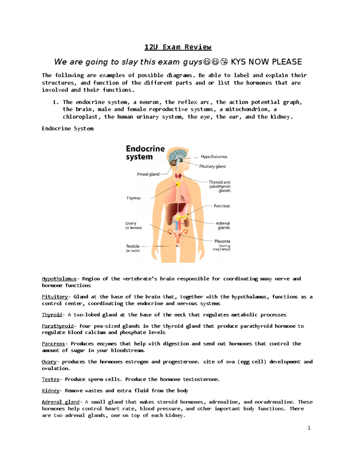 Biology 12U Exam Review copy - 12U Exam Review We are going to slay ...