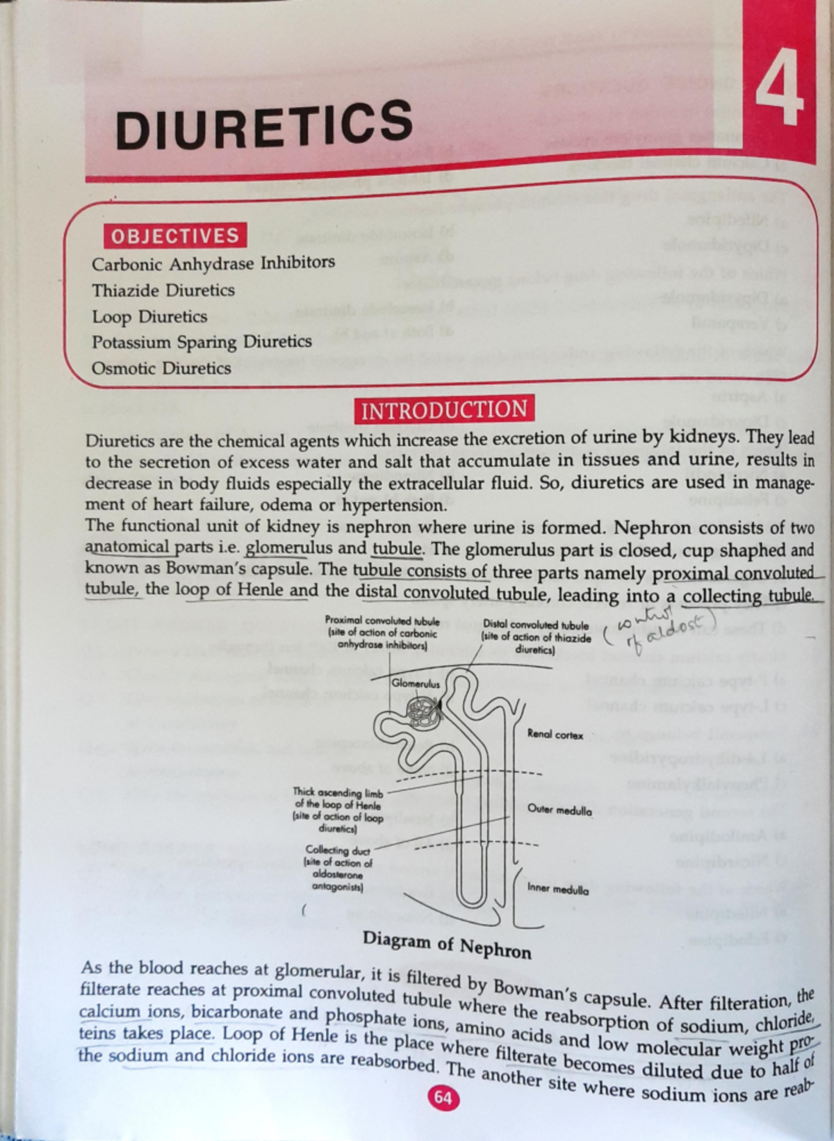 934 Chapter-4 Diuretics - Pharmacy - Studocu
