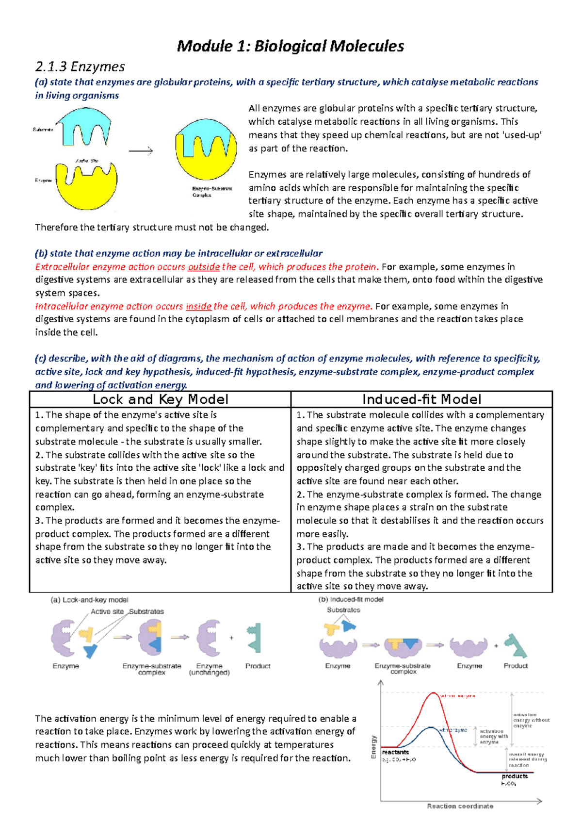 Enzymes Revision Notes 2.1 Enzymes (a) state that enzymes are