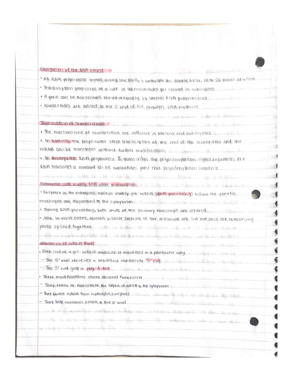 Biology 1 - Gene Expression Part 2 - BIO 1134 - Studocu