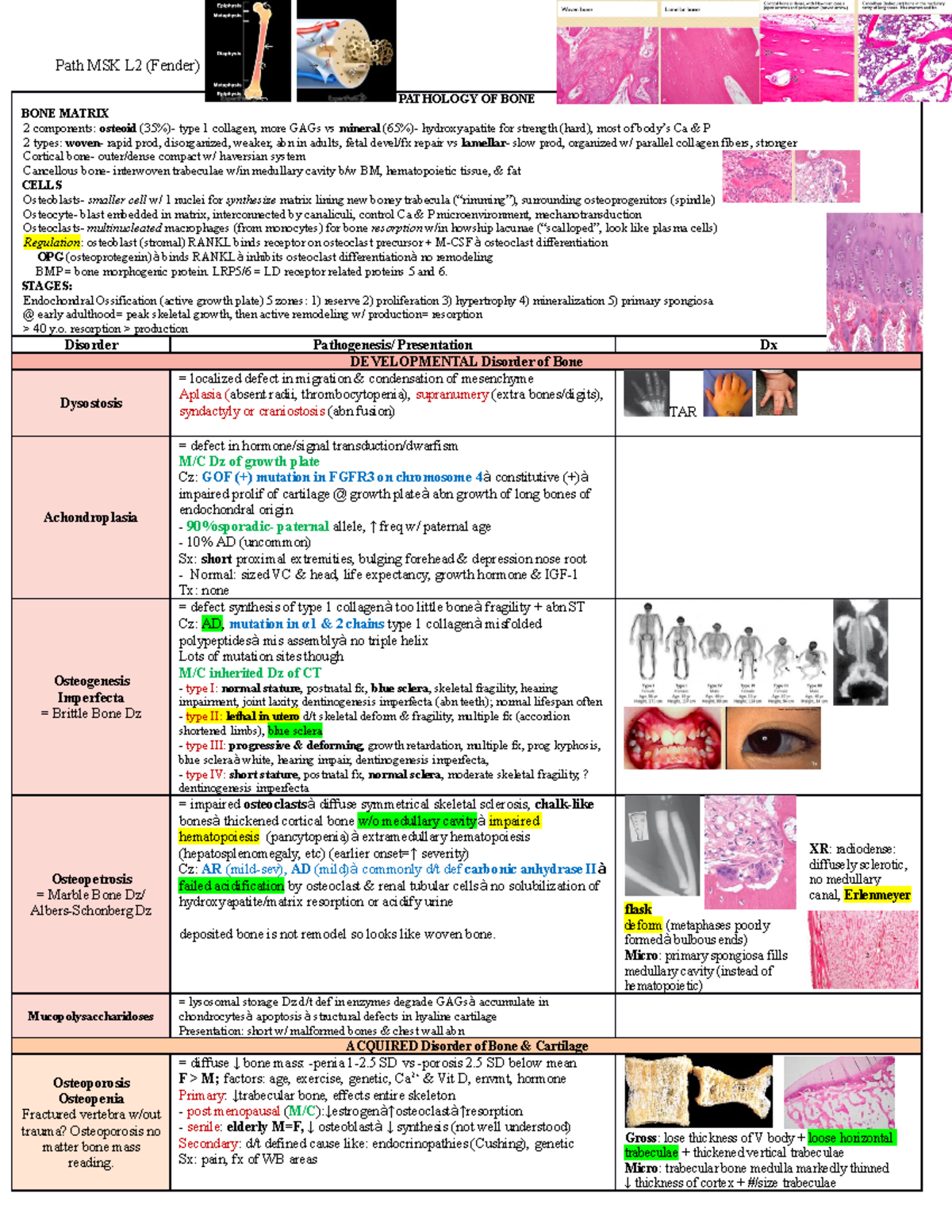 Path MSK L2 - Path MSK L2 study guide - Path MSK L2 (Fender) PATHOLOGY ...