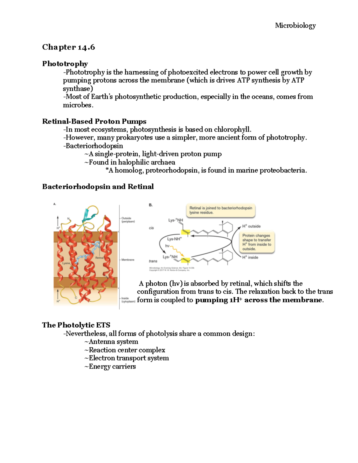 Micro 14.6 Outline - Microbiology Chapter 14. Phototrophy -Phototrophy ...