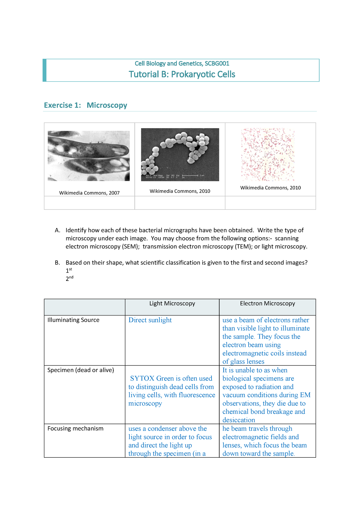 1 - Chem - 065212 - Studocu