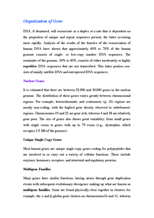 Shikimate Pathway Shikimate Pathway The shikimate aromatic