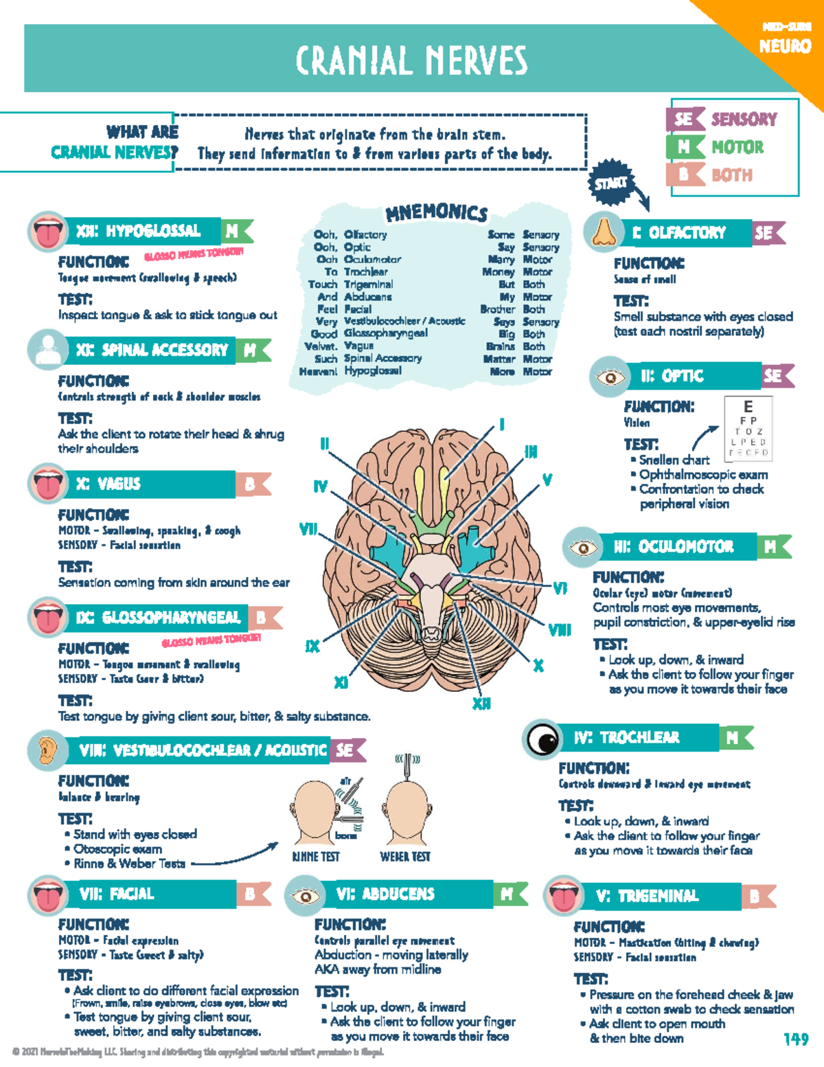 Cranial Nerves - notes - NUR166 - Studocu