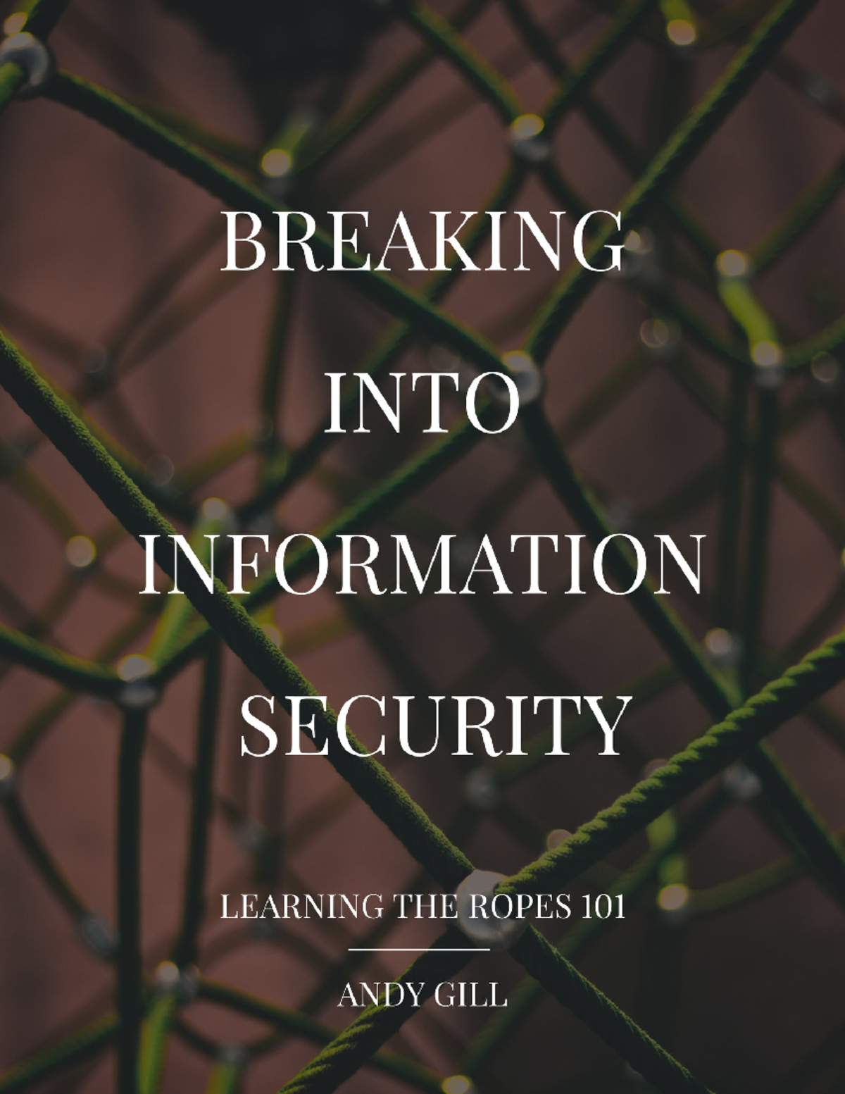 Breaking-into-infosec - Breaking into Information Security: Learning ...