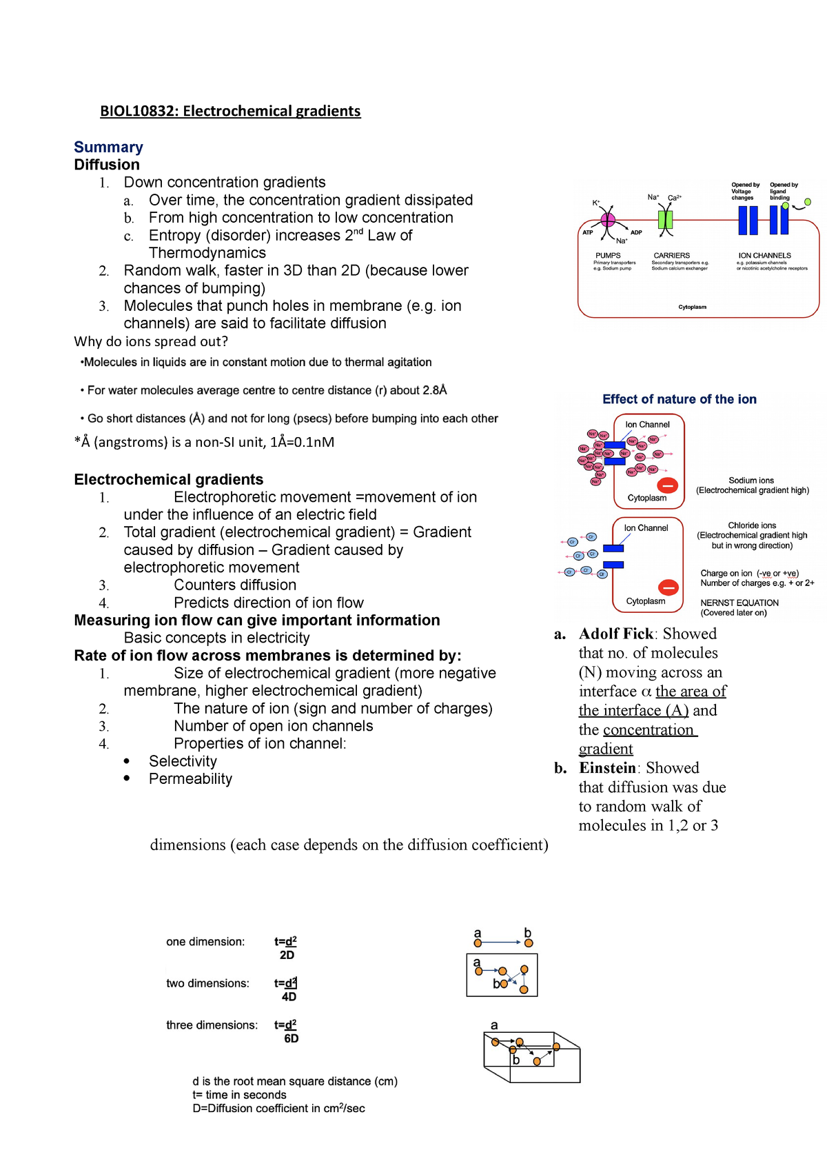 Excitable Cells Lecture 4 Studocu