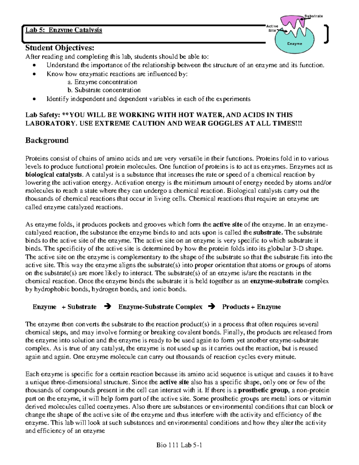 Lab 5 Enzyme Catalysis 1 Lab 5 Enzyme Catalysis Student Objectives