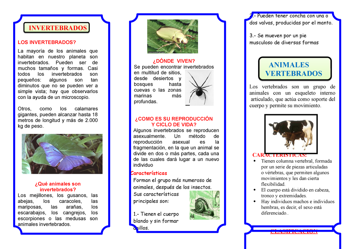 Triptico Invertebrados E Invertebrados - INVERTEBRADOS ####### LOS