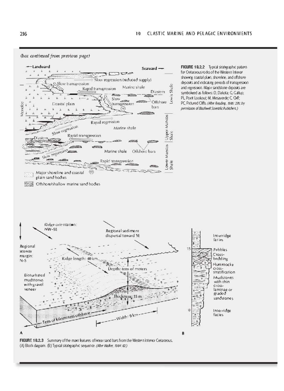 Sedimentary Geology ( PDFDrive )26 216 10 CLASTIC MARINE AND PELAGIC
