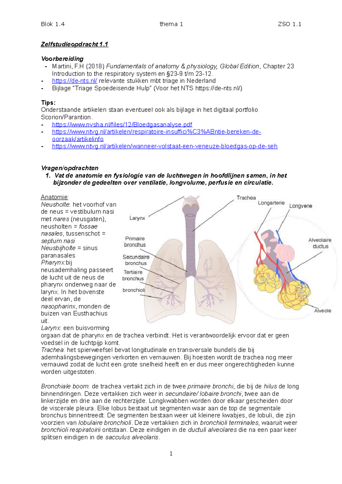 ZSO 1 - Zelfstudieopdracht 1.1 - Blok 1 Thema 1 ZSO 1 ...