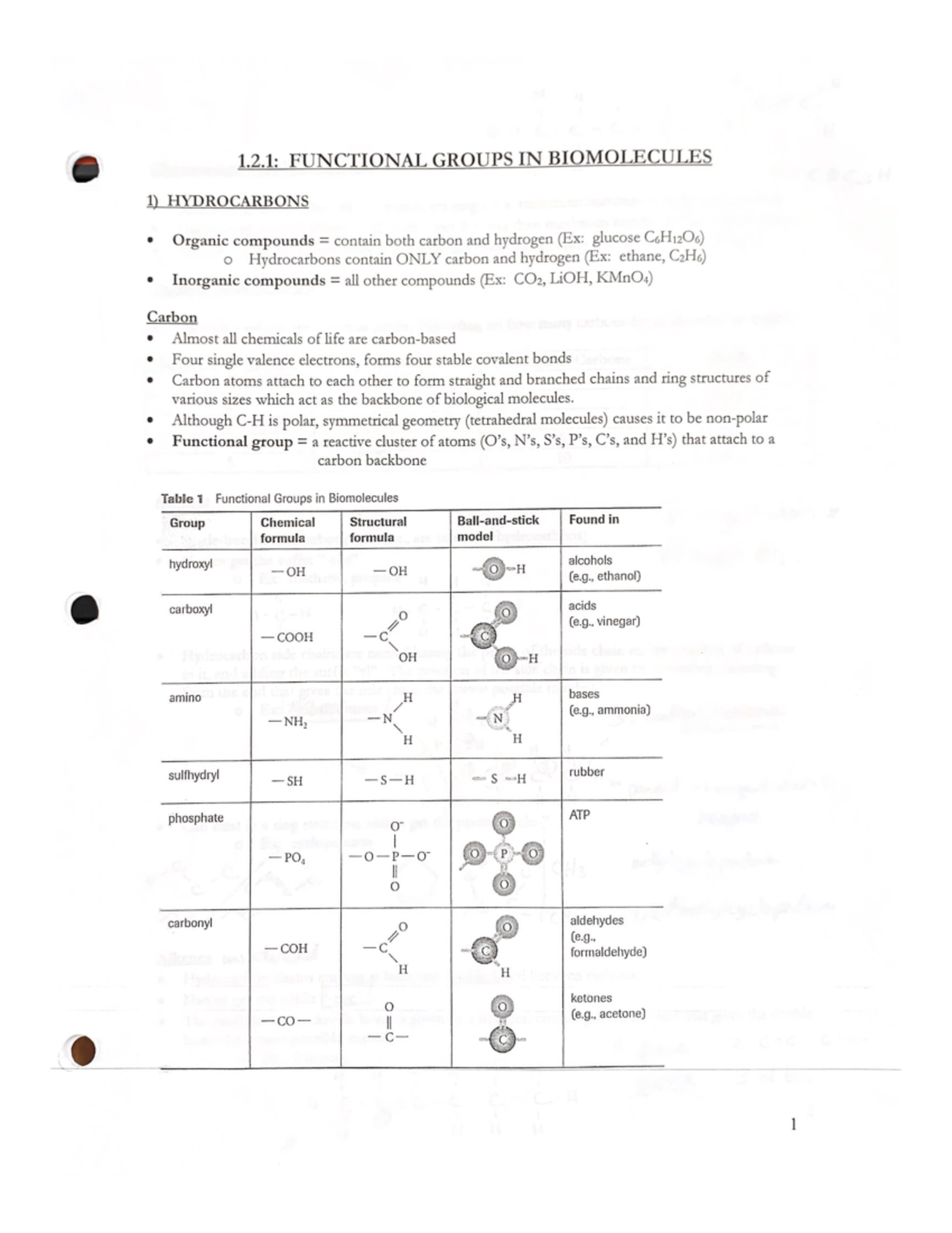 1.21 functional groups in biomolecules - BIO1M03 - Studocu