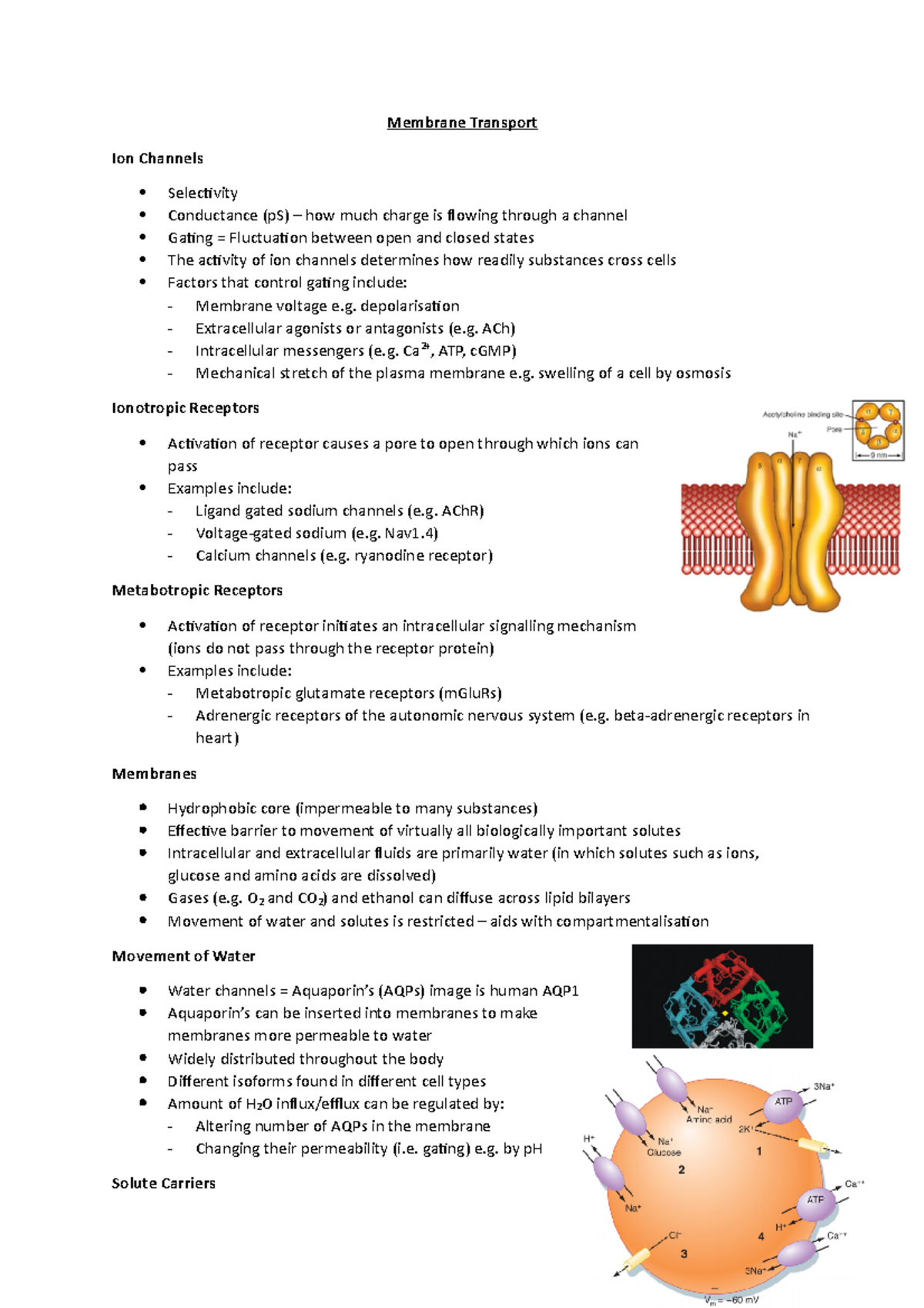 Membrane Transport - Lecture notes 1 - Membrane Transport Ion Channels ...