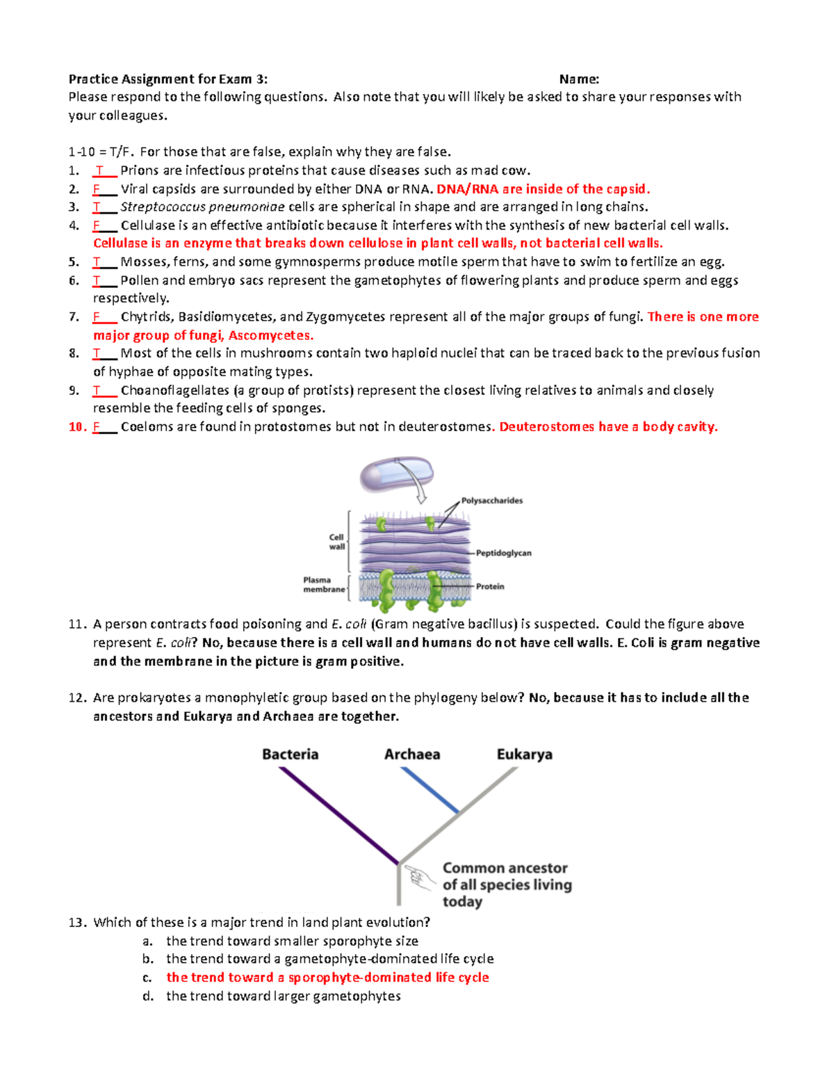 BIO 151 Exam 3 Study Guide - Practice Assignment for Exam 3: Name ...