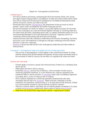 BIO 425 Chapter 14: ''Brain and Cranial Nerves'' - Chapter 14: Brain ...