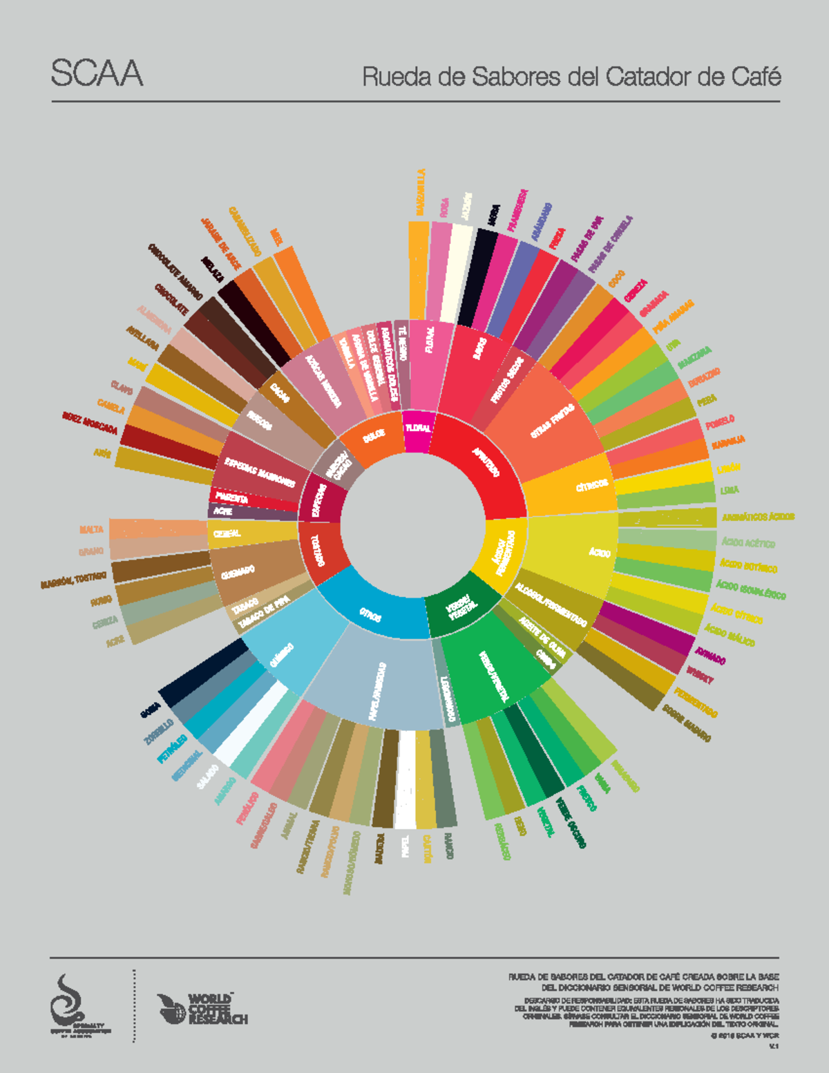 SCAA Flavor Wheel Spanish - curso corto cafe - Studocu