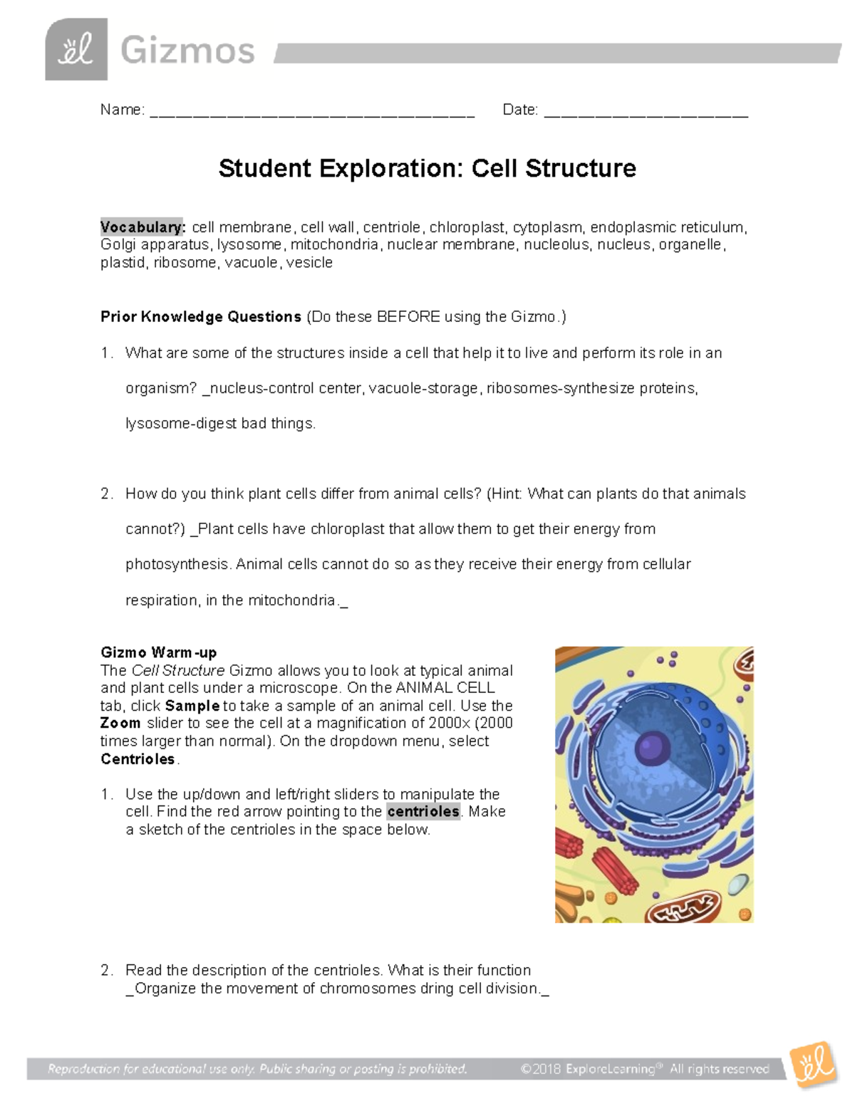 Cell Structure Gizmo Worksheet Answer Key 2018 Name