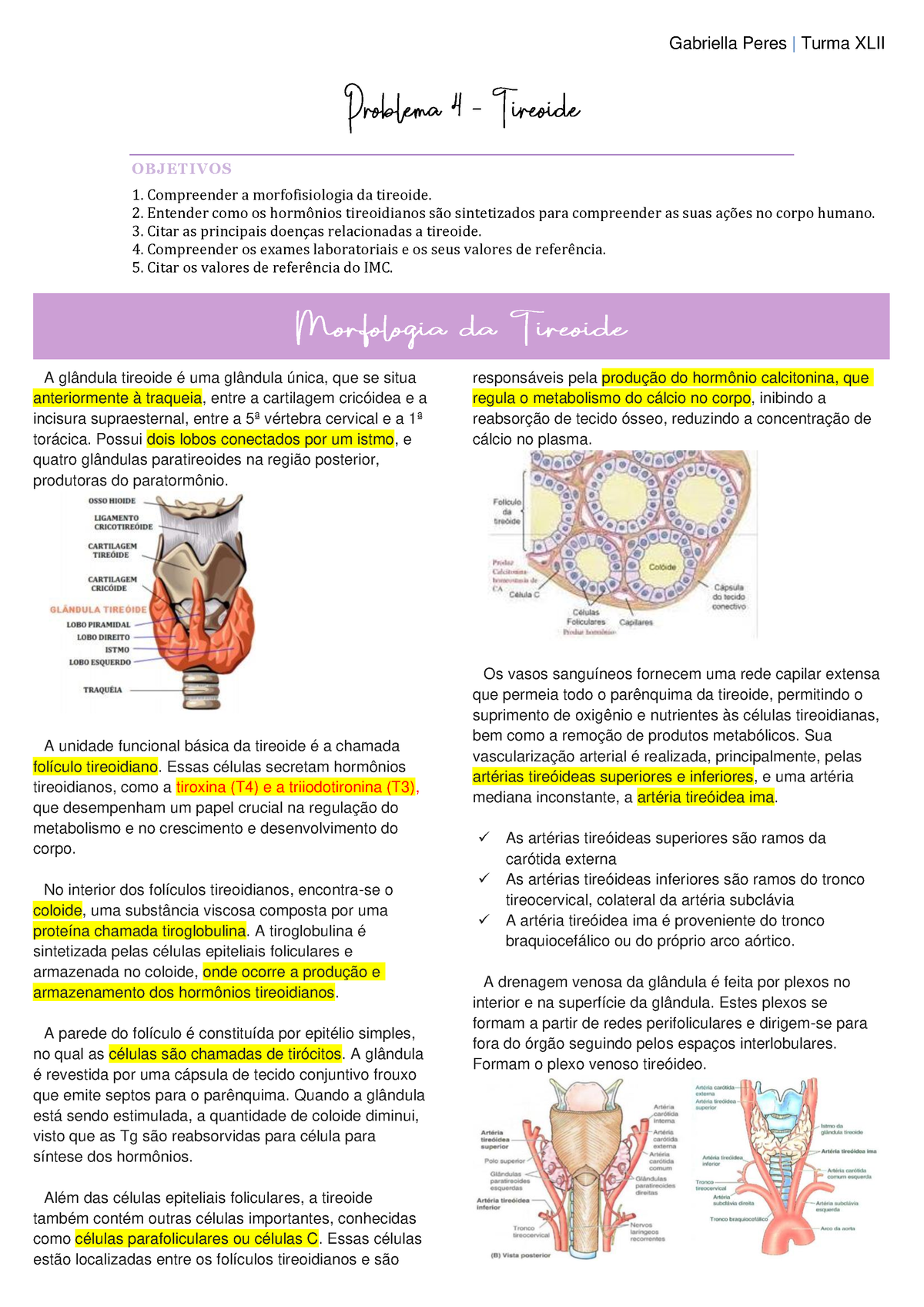 Tireoide resumo OBJETIVOS Compreender a morfofisiologia da tireoide