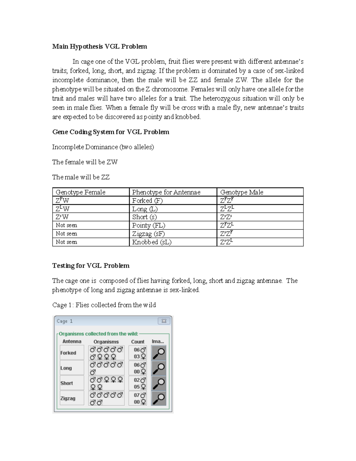 VGLlab lab Main Hypothesis VGL Problem In cage one of the