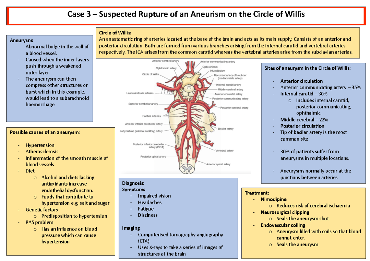 Rupture of aneursym of circle of willis - Case 3 – Suspected Rupture of ...