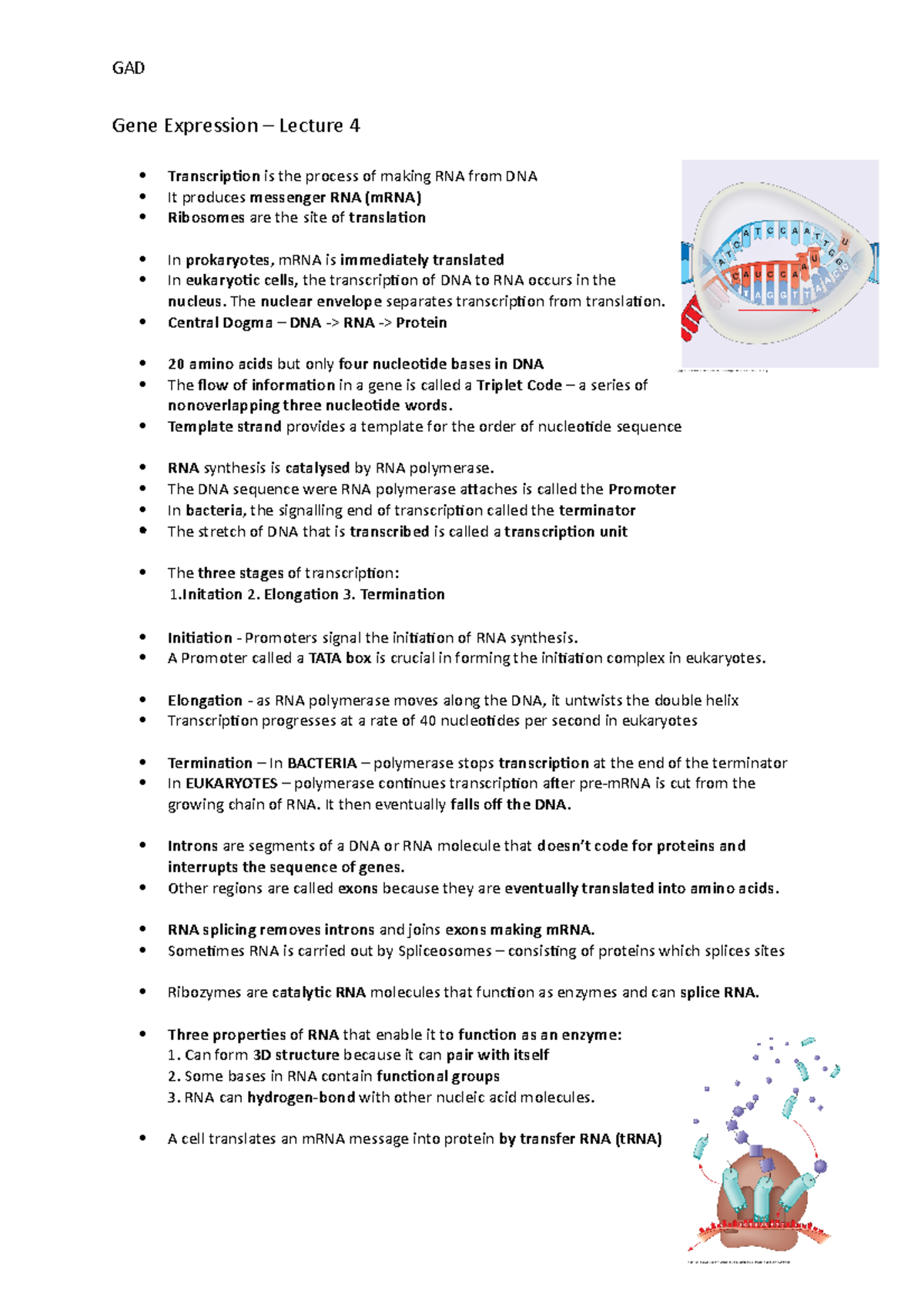 Gene Expression - Cell and Molecular Biology - GAD Gene Expression ...