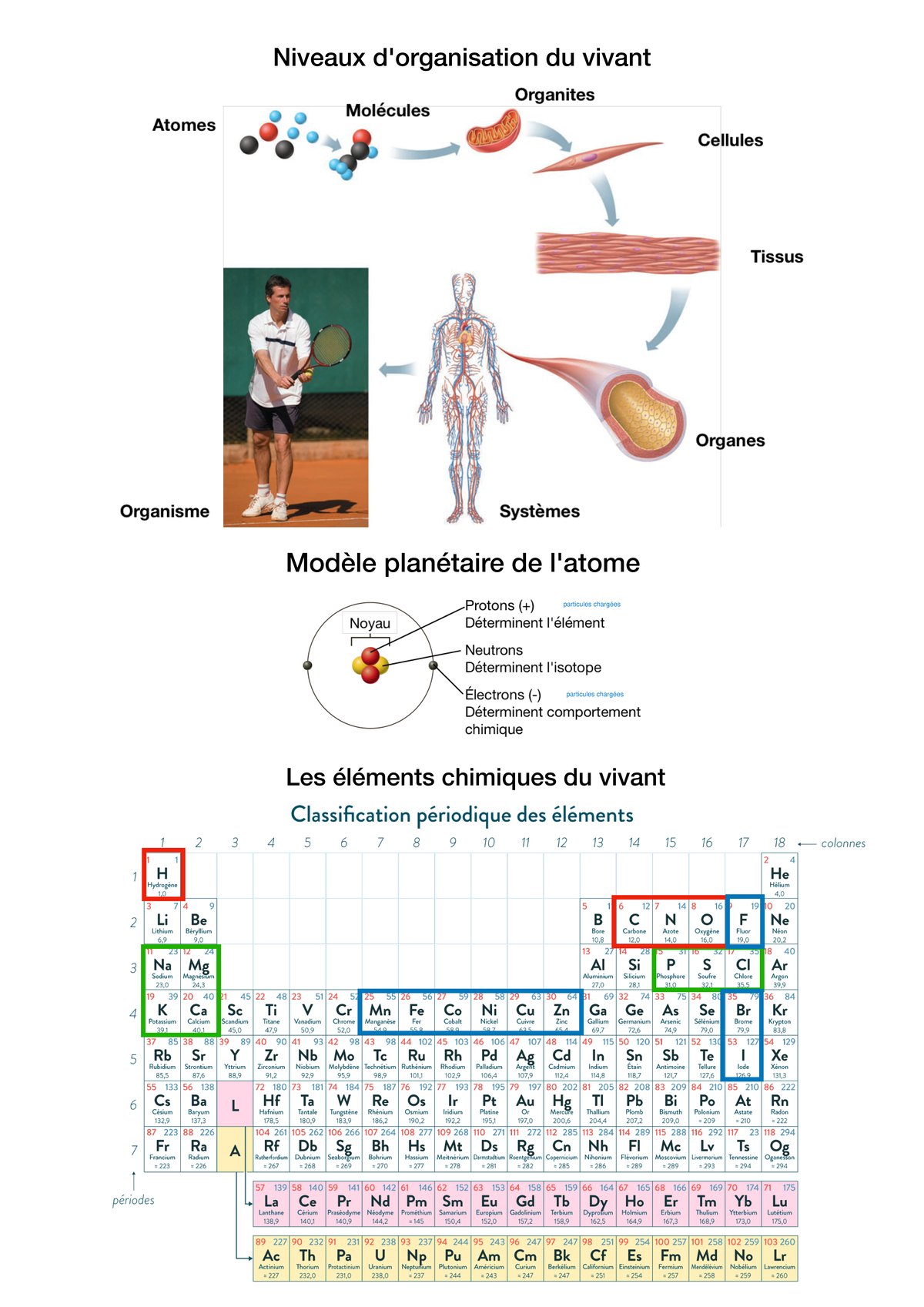 L1 Physio CM Biochimie Poly - Niveaux d'organisation du vivant ...