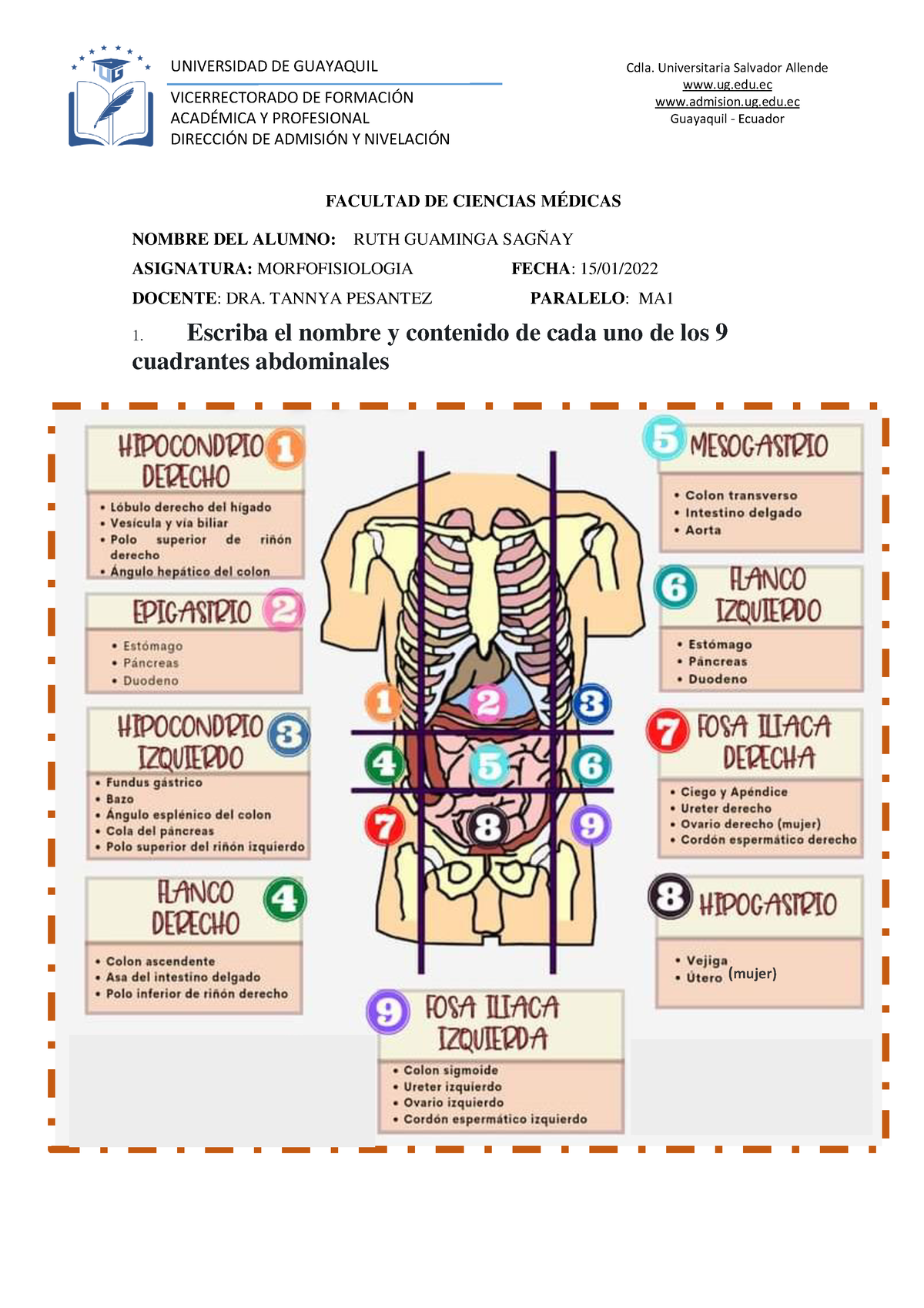 Morfo Curso VICERRECTORADO DE FORMACIN ACAD Y PROFESIONAL DIRECCIN DE ADMISIN Y