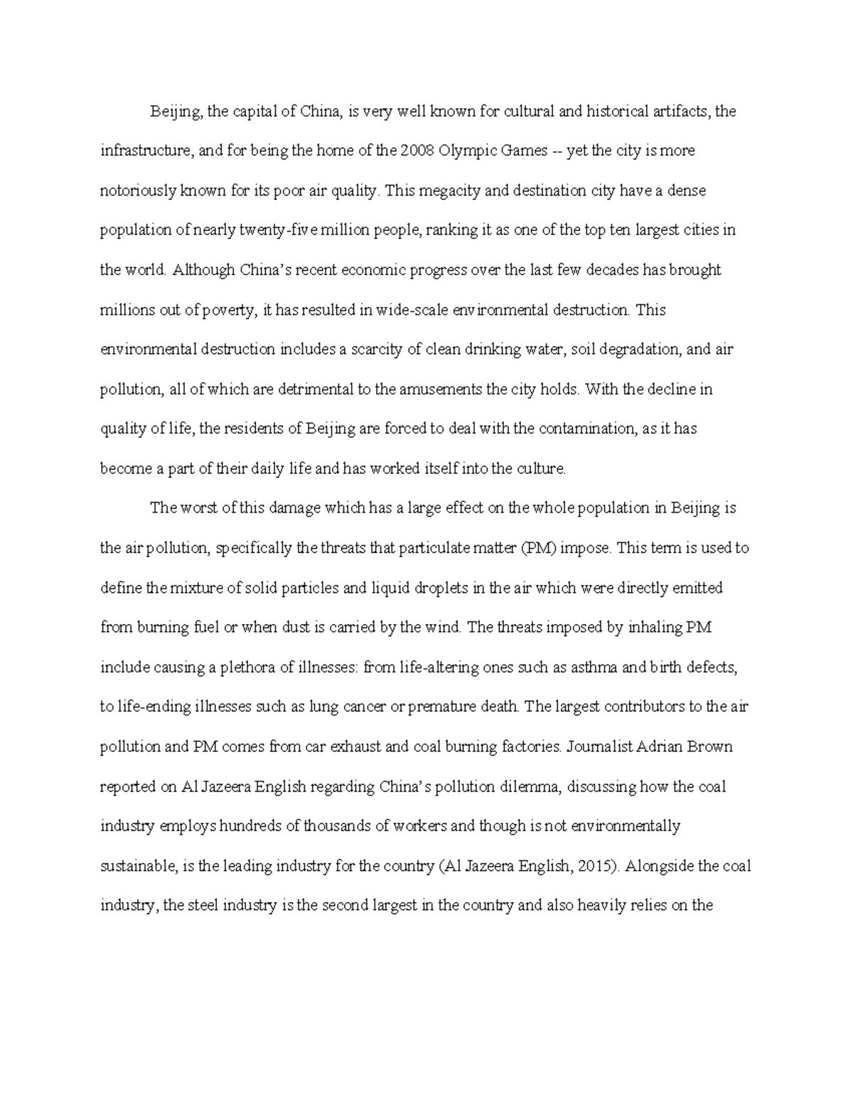 Essay megacities picture