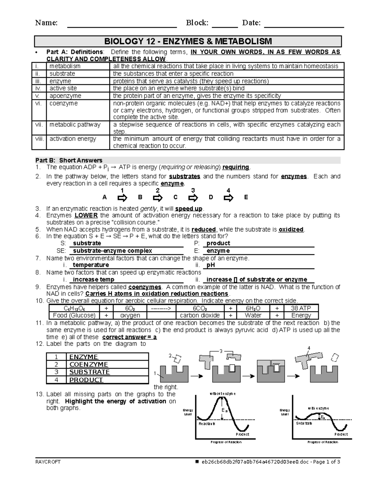 Worksheet Enzymes A Key Name Block Date BIOLOGY 12 ENZYMES 